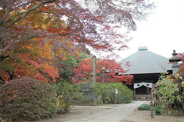 多聞院(所沢市)