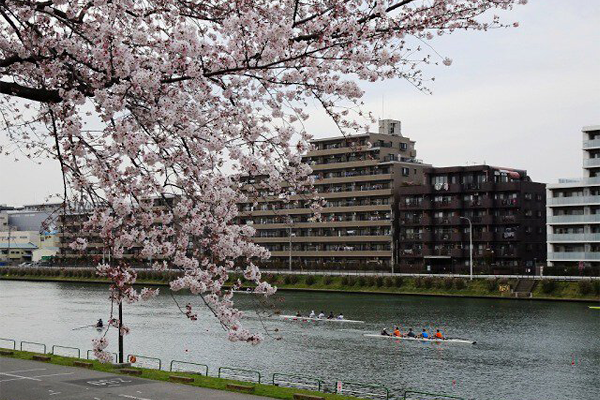 戸田公園