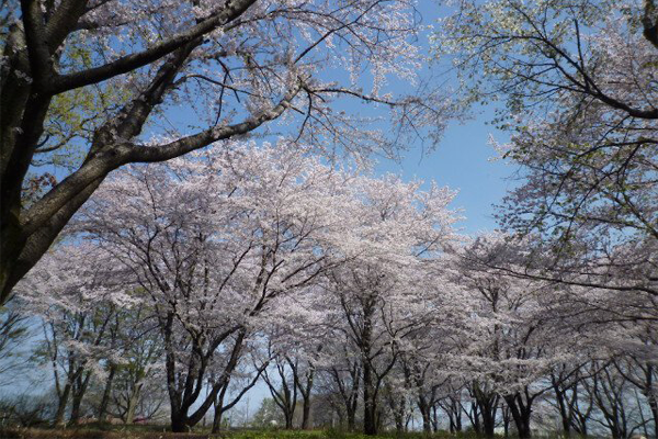 智光山公園