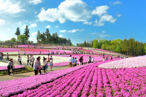 羊山公園
