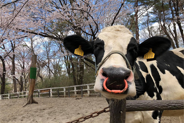 埼玉県こども動物自然公園