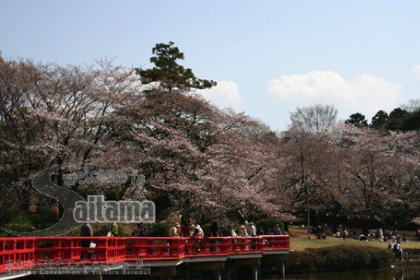 岩槻城址公園