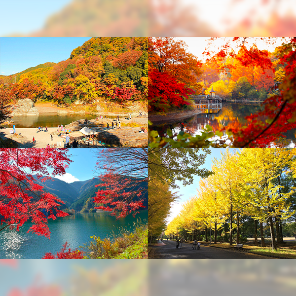 【埼玉】おすすめ紅葉スポット12選！都心から日帰りで行ける絶景紅葉ドライブ