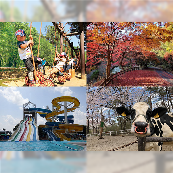 【埼玉】大きい公園10選！親子でお出かけにおすすめの人気スポットを紹介