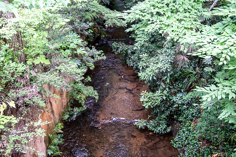 小平市立中央公園