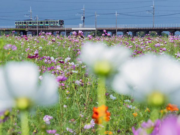 与田浦十二町歩