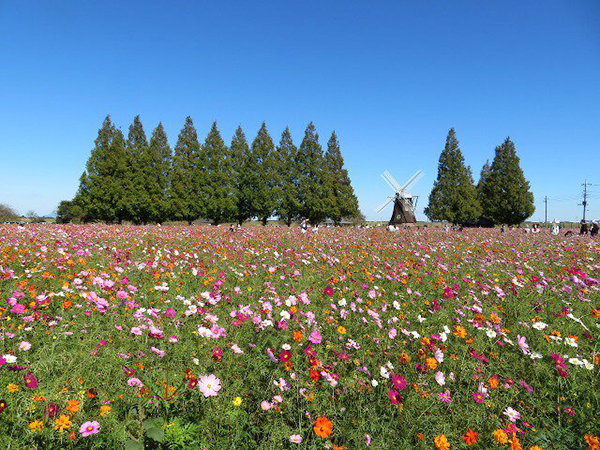 あけぼの山農業公園