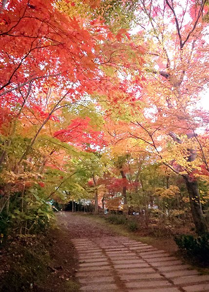 小林もみじ園