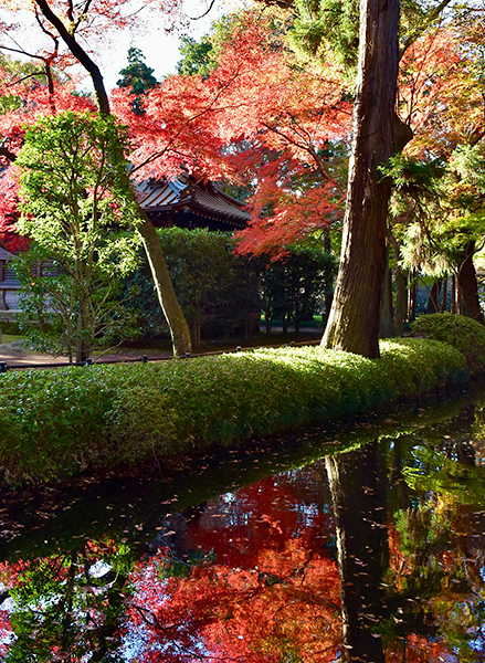 平林寺