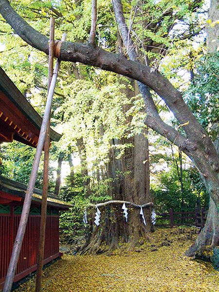 大國魂神社