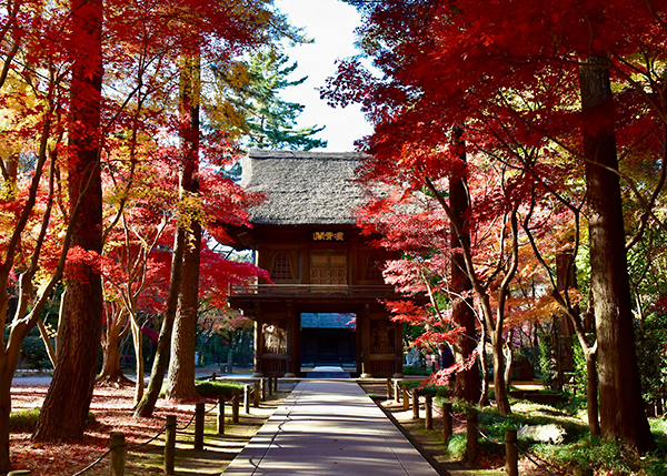 平林寺