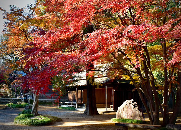平林寺