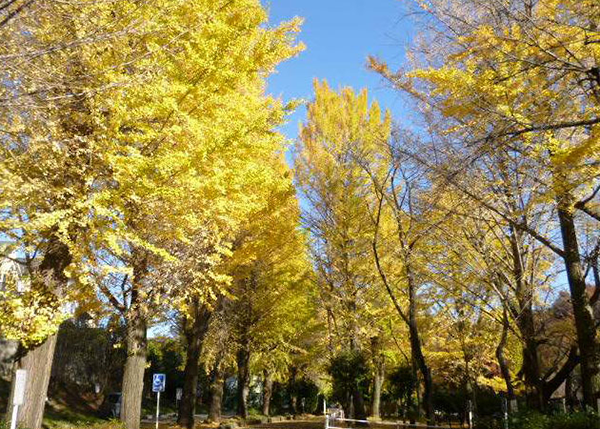 別所沼公園