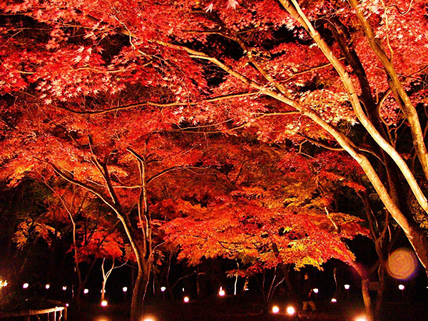 長瀞の紅葉