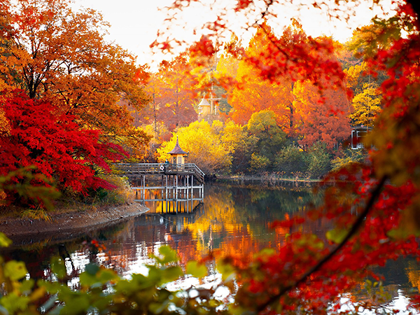 メッツァの紅葉