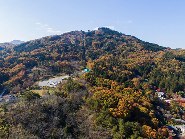 宝登山の紅葉