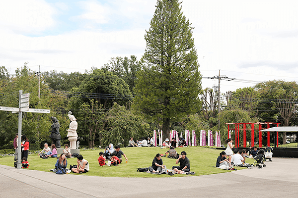 武蔵野坐令和神社前の芝生