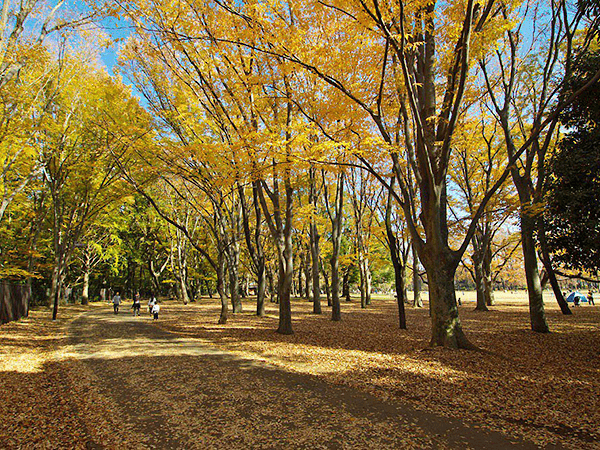 小金井公園