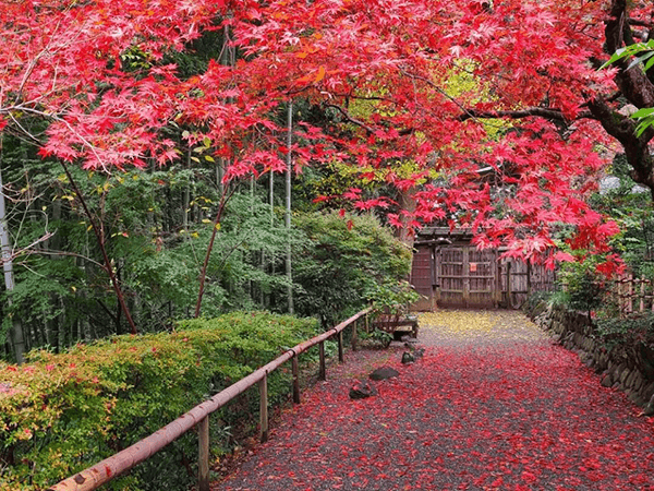 京王百草園