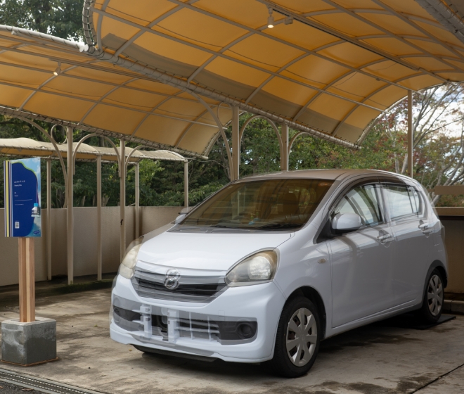 ホッピング・フラ