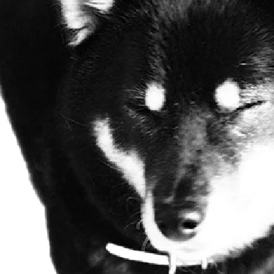 LOWRISEのクリエイター画像