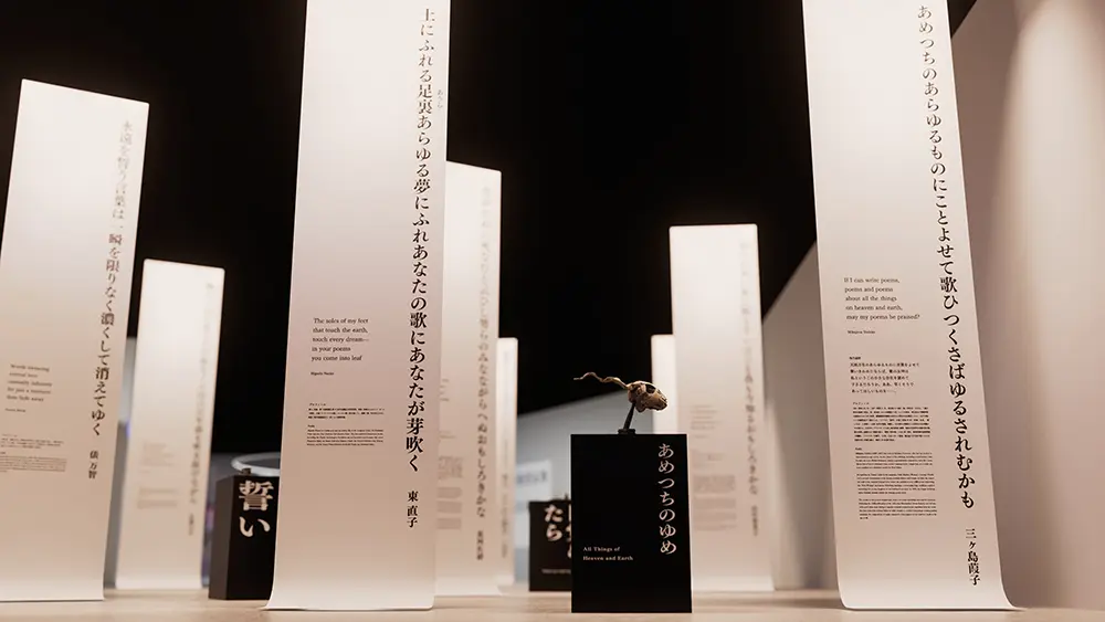 展示のみどころのイメージ画像01