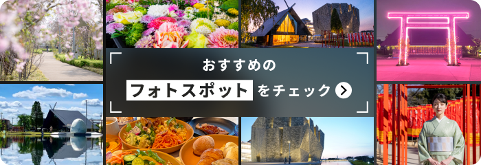 おすすめのフォトスポットをチェック