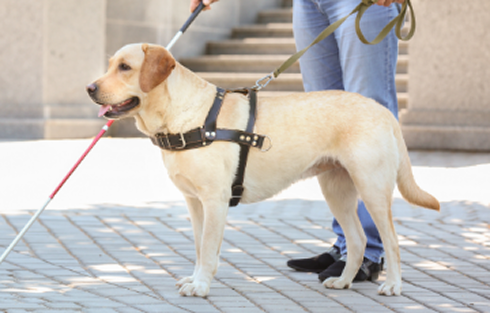 補助犬の入場について