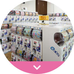 CAPSULE STUDIO