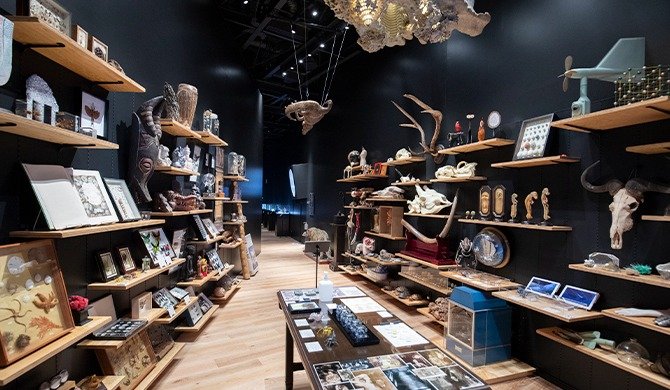 荒俣ワンダー秘宝館 有料